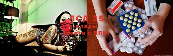 спиды Бородино