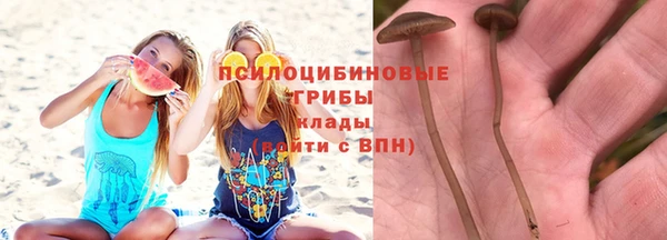 МДПВ Бугульма