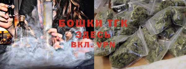 спиды Бородино