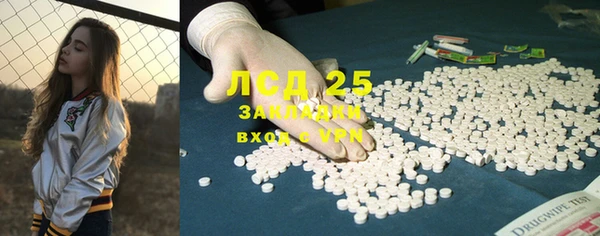 спиды Бородино