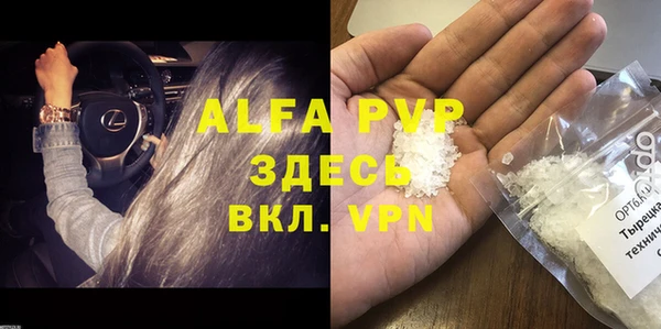 спиды Бородино