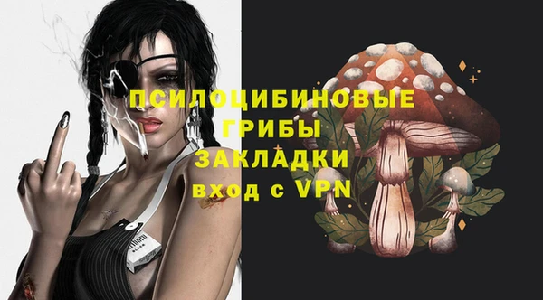 спиды Бородино