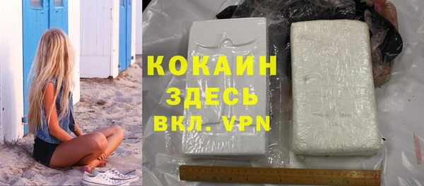 спиды Бородино